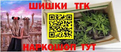 стаф Малгобек